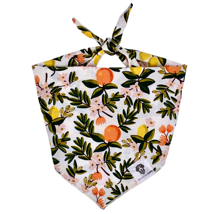 Citrus Floral Tie-On Dog Bandana