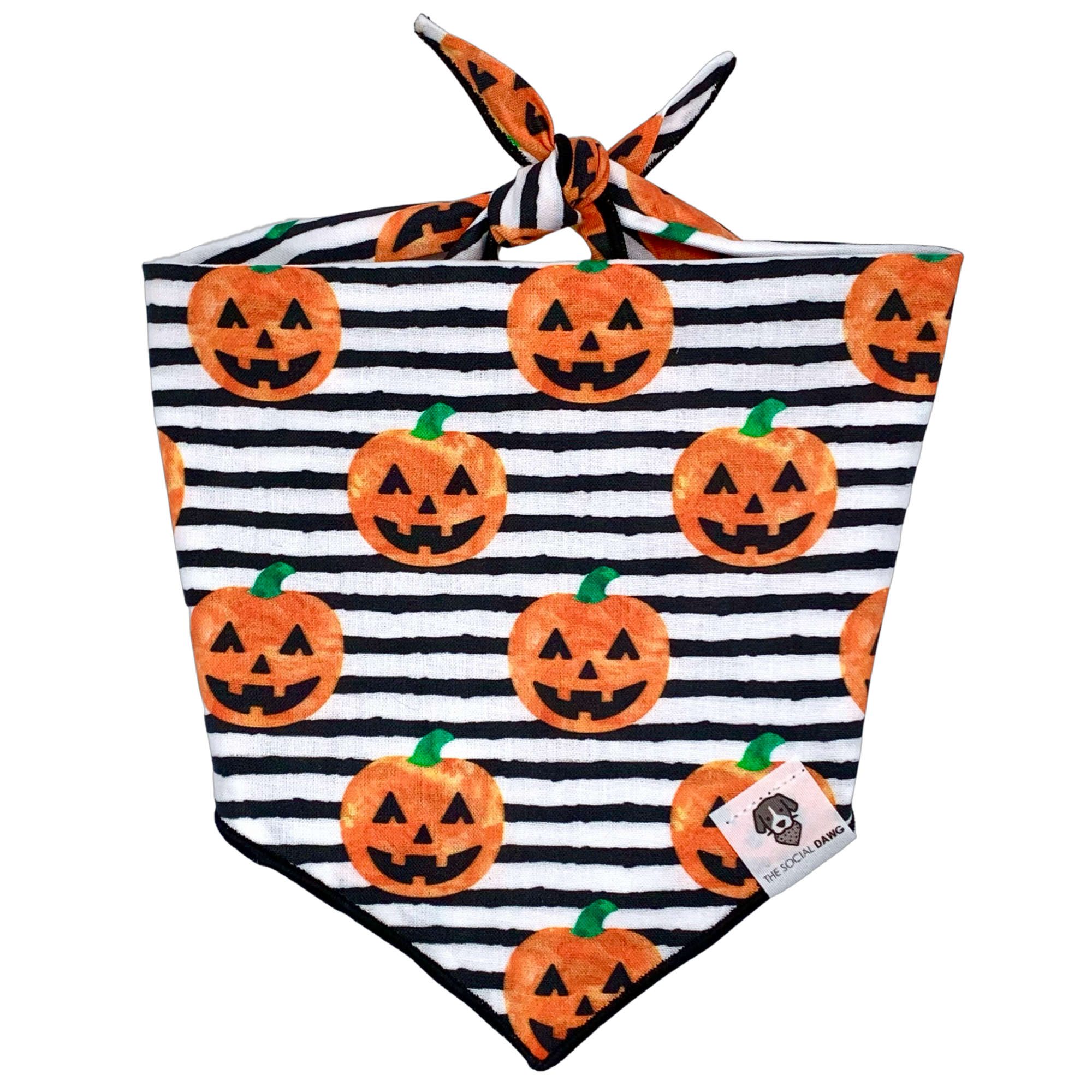 Pet Bandana  Jack O'Lantern Spec