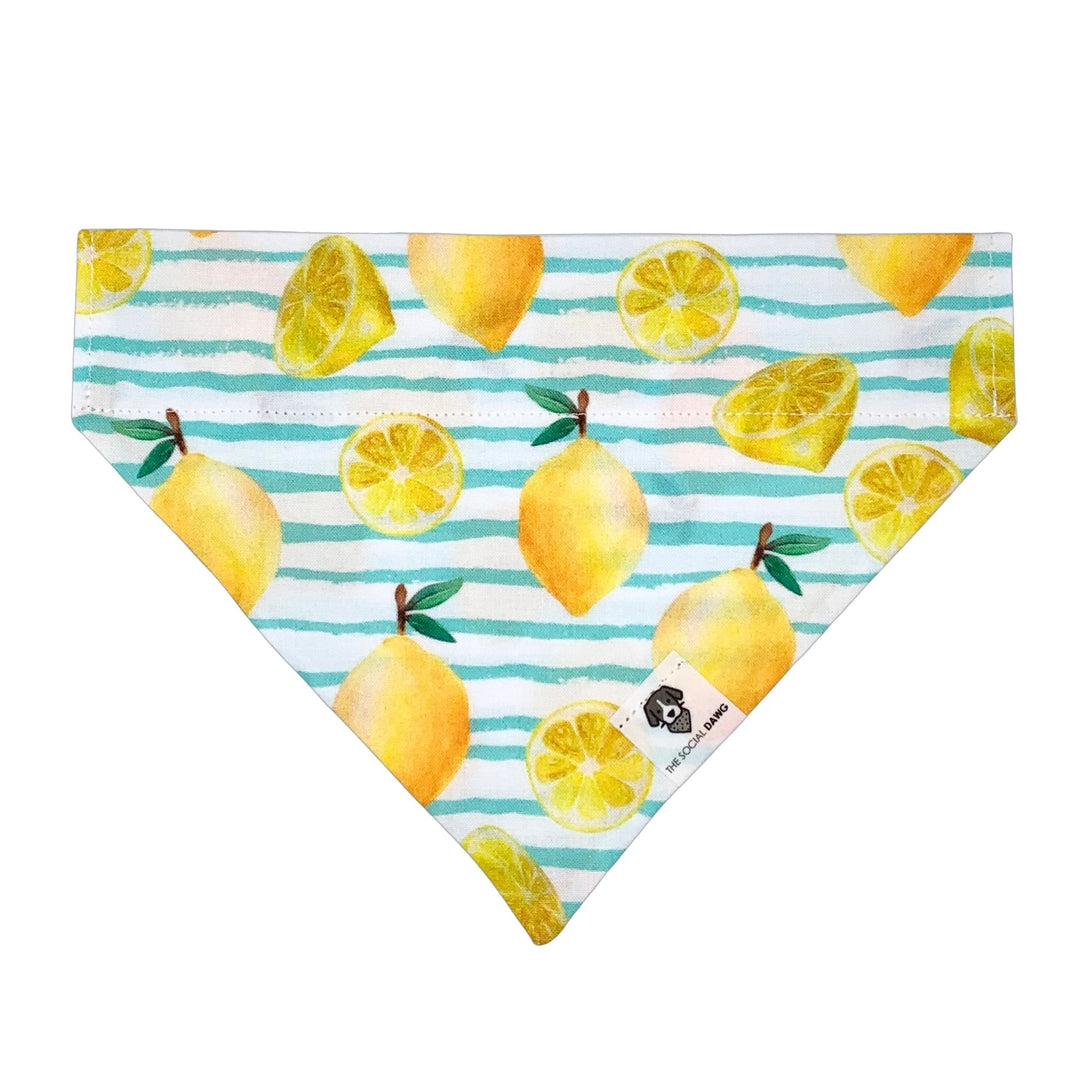 Lemon Slip-On Dog Bandana