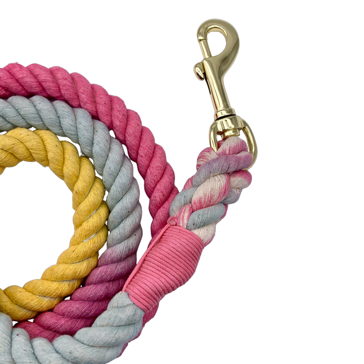 Rainbow Ombré Cotton Rope Dog Leash