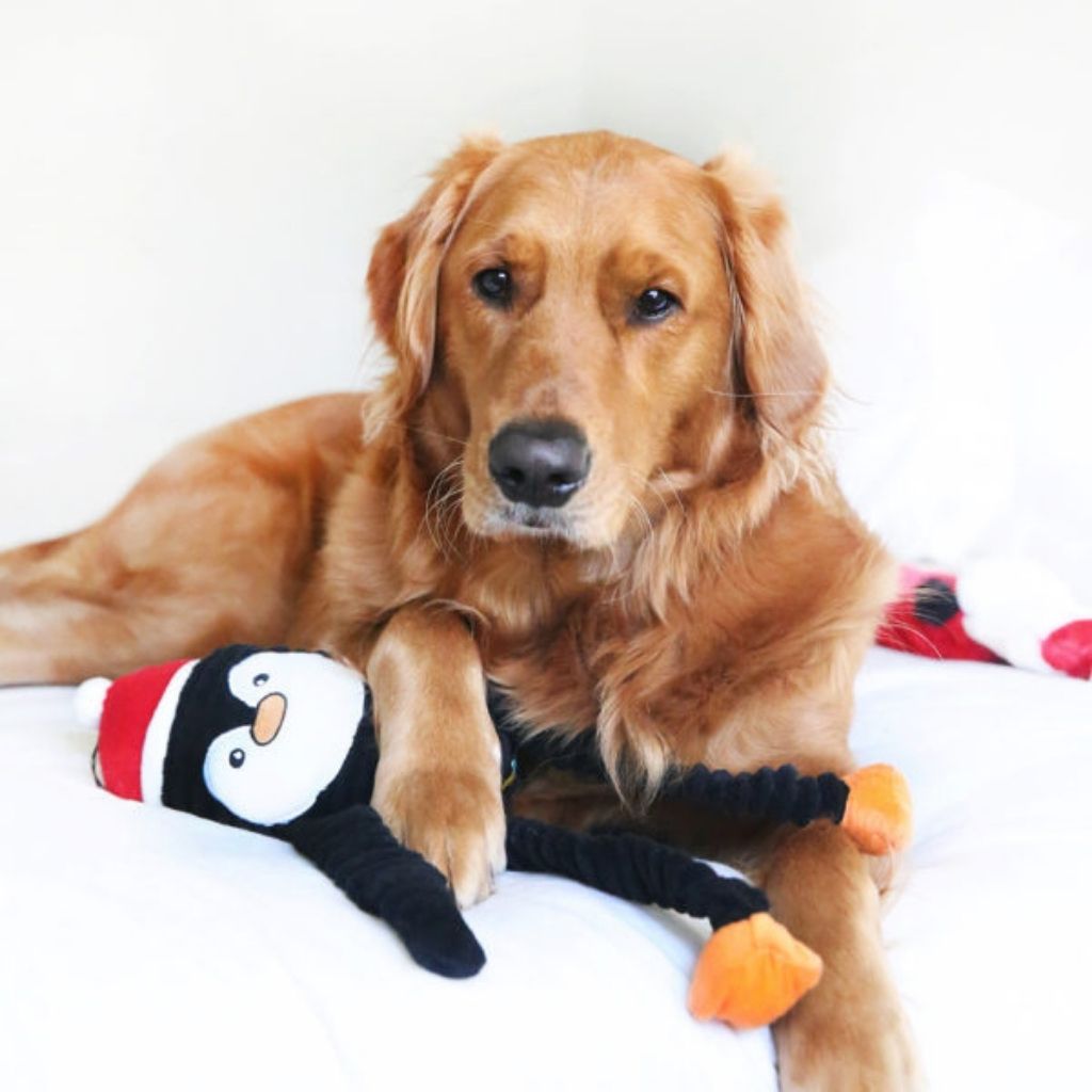 Holiday Penguin Crinkle Dog Toy