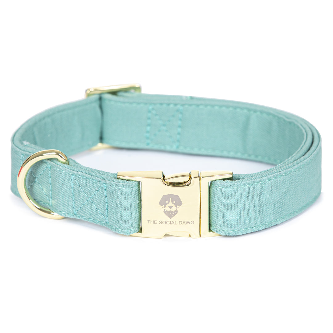 DOG COLLARS & LEASHES