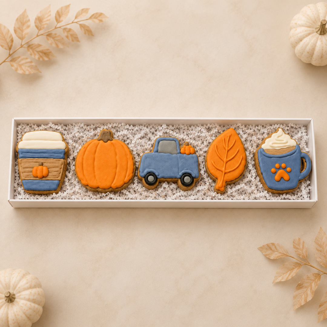 Fall Mini Dog Treat Box
