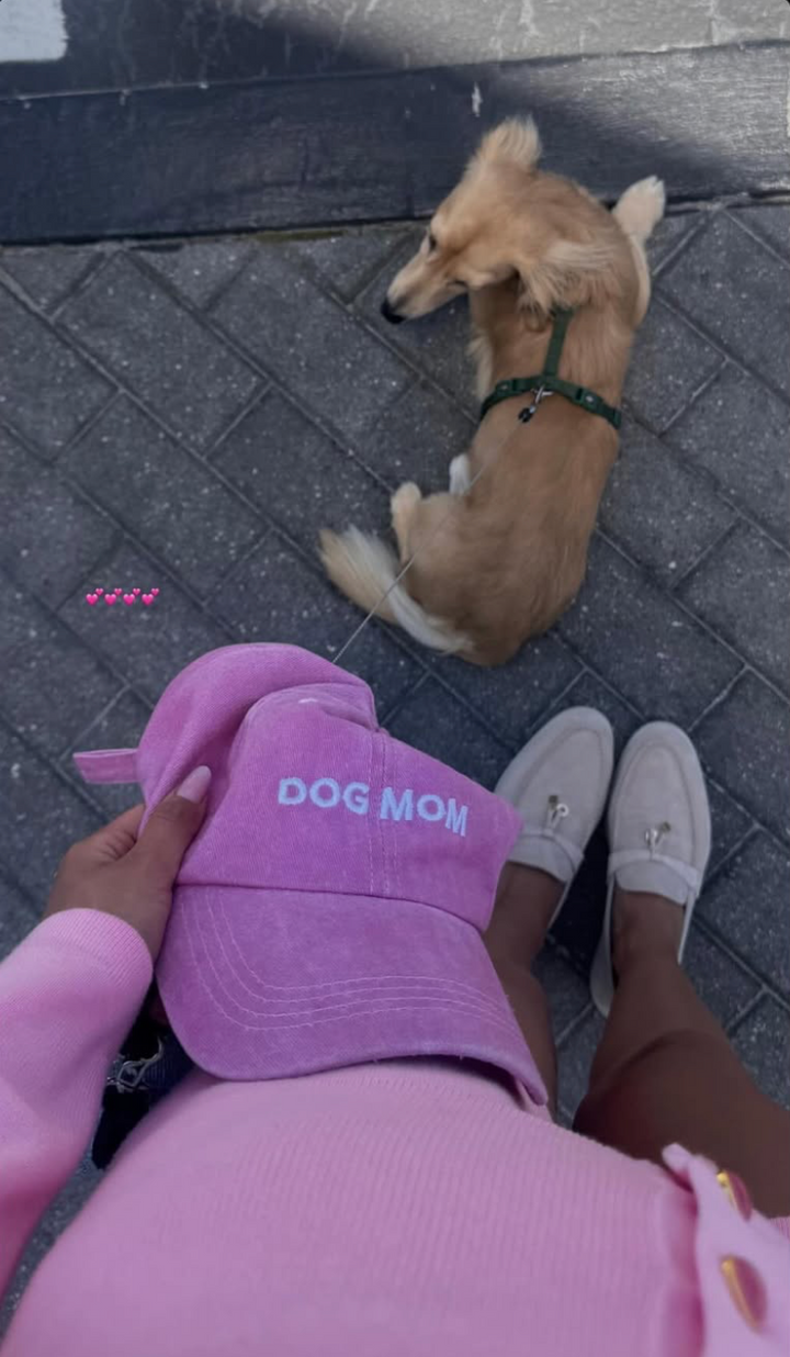 Dog Mom Embroidered Pink Baseball Hat