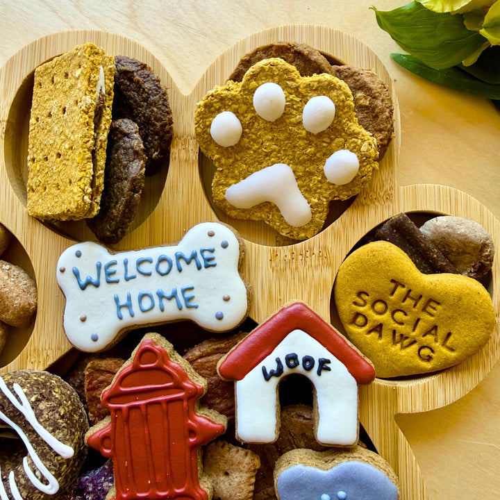 Welcome Home Paw Barkuterie Dog Treat Board