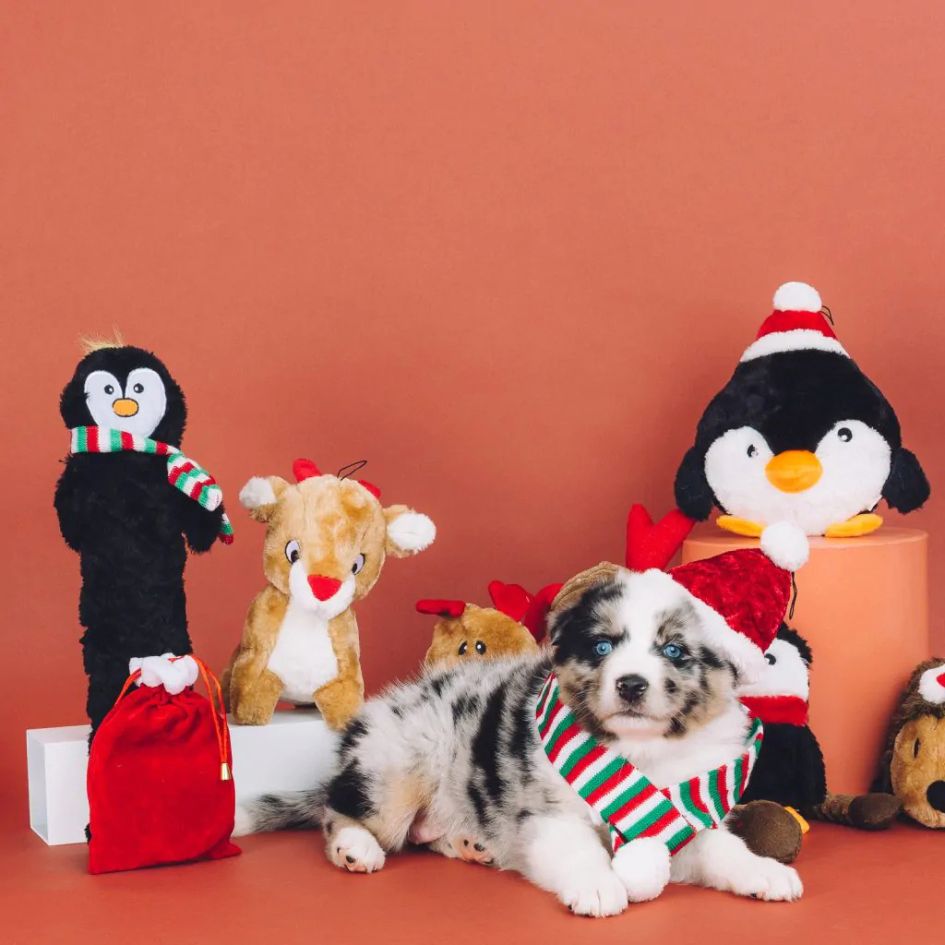 Holiday Jigglerz Penguin Dog Toy