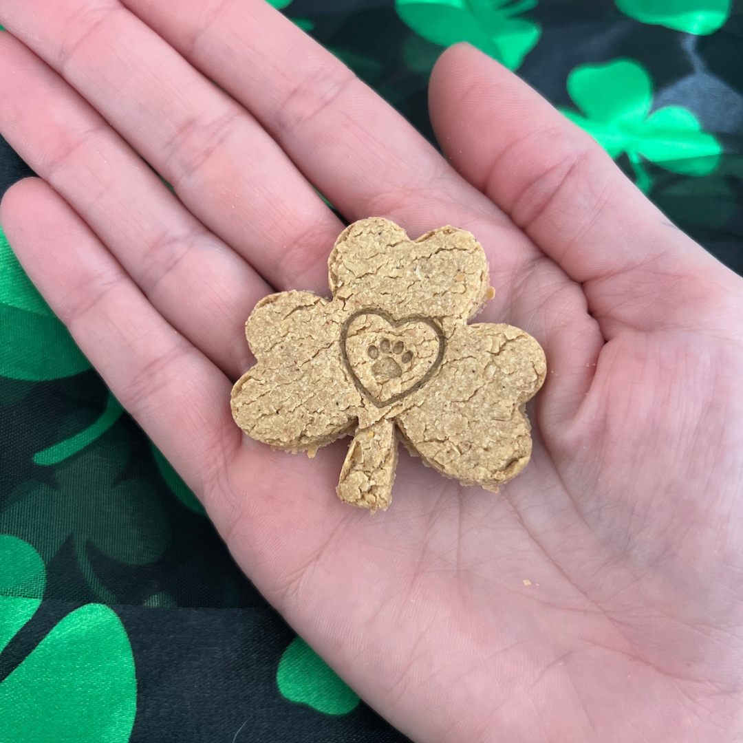 St. Patrick’s Day Dog Biscuits