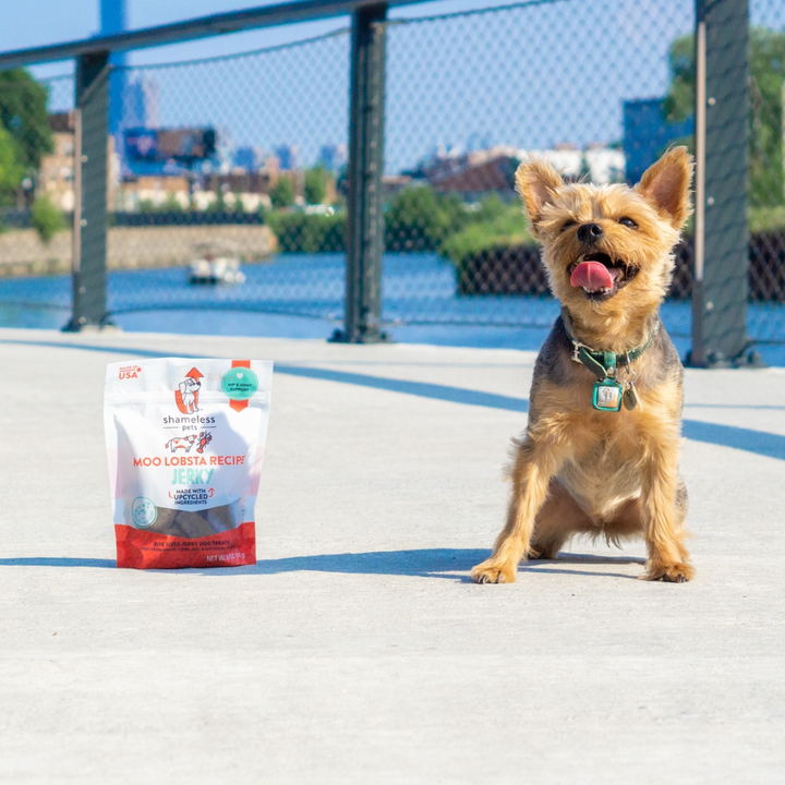 Moo Lobsta Jerky Dog Treats