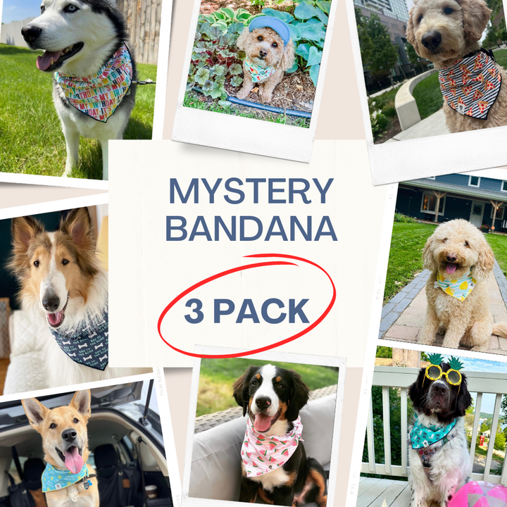 MYSTERY BANDANAS - 3 PACK