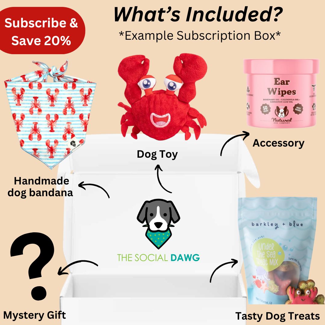 The Social Dawg Pup-scription Box (One Dog)