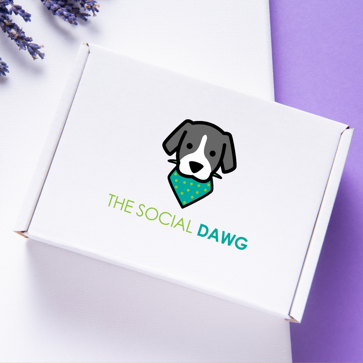 The Social Dawg Pup-scription Box (One Dog)
