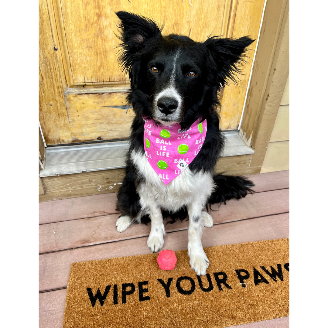 Ball Is Life Pink Slip-On Dog Bandana