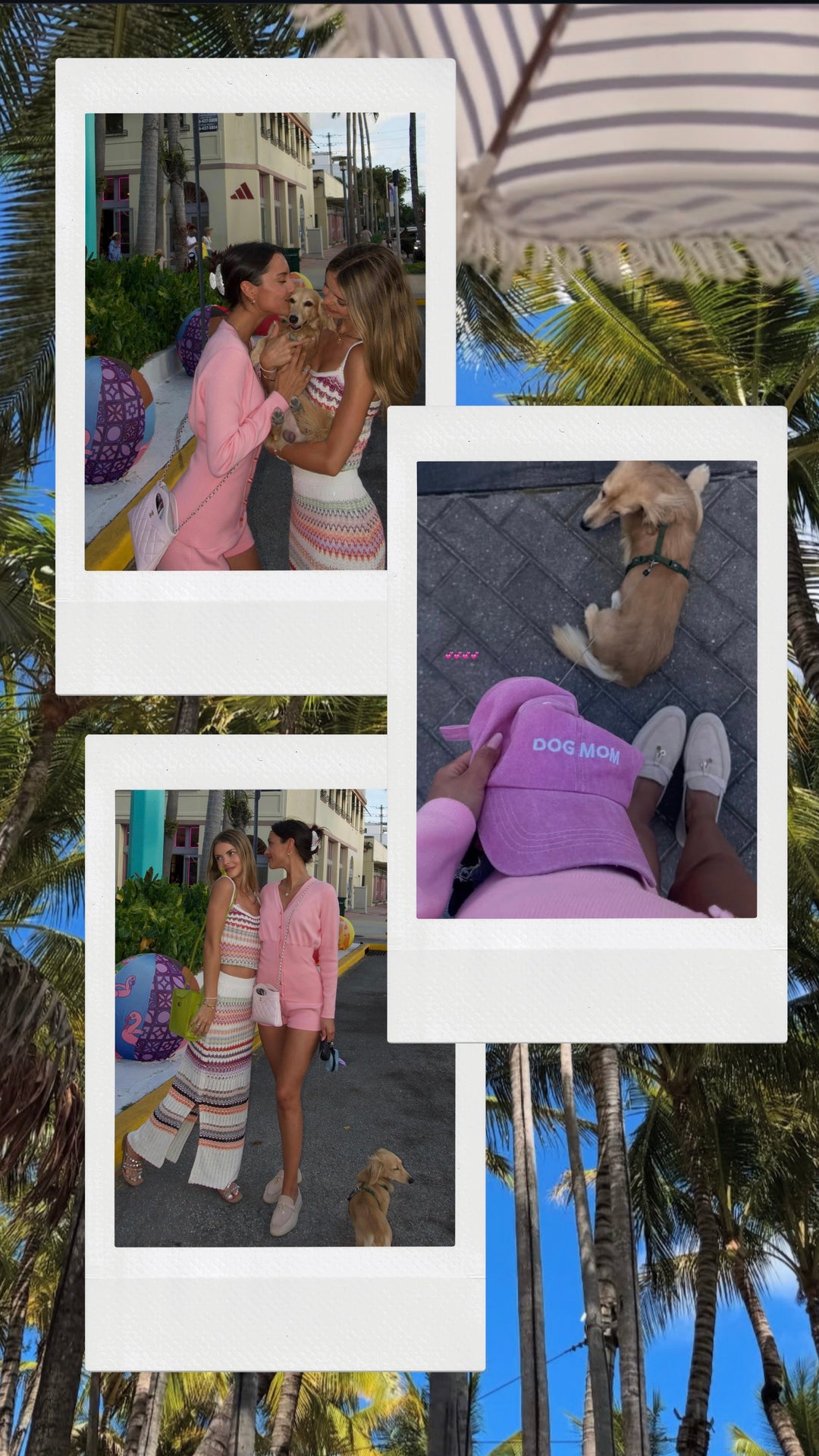 Dog Mom Embroidered Pink Baseball Hat