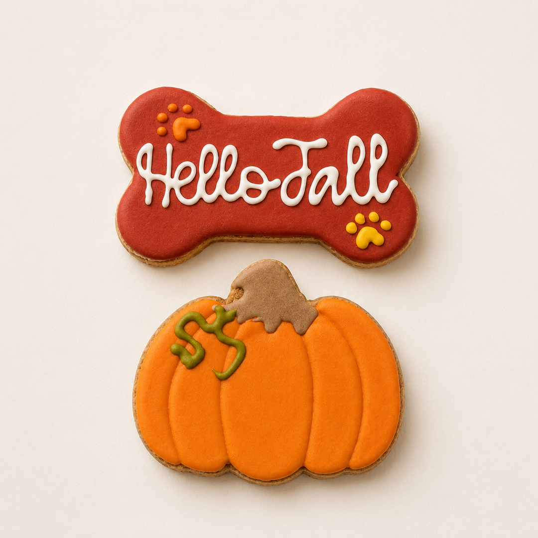 Hello Fall Pumpkin Dog Treats - 2 Pack