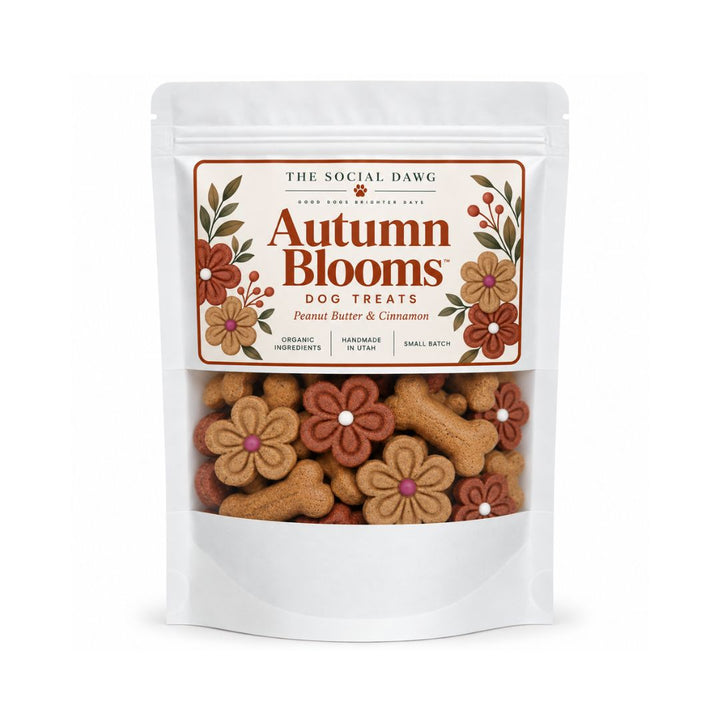 Autumn Blooms Dog Treat bag