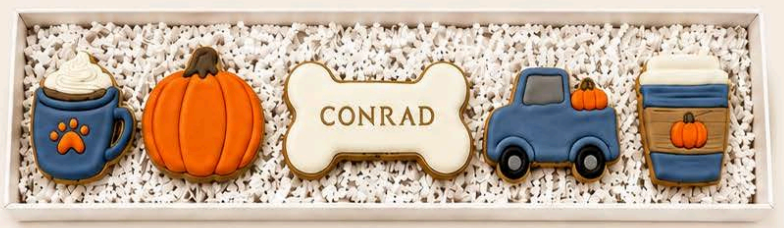 Custom Conrad 5 Treat Box - Fall Treats