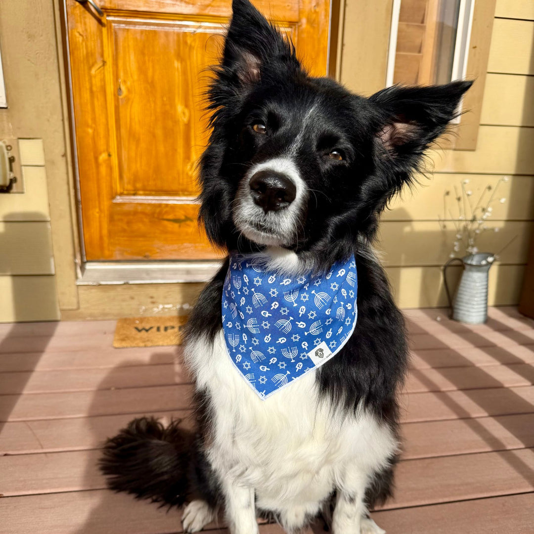 Hanukkah Tie-On Dog Bandana