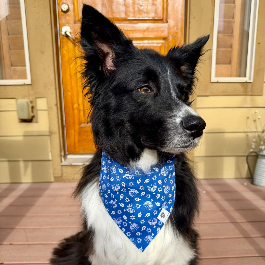 Hanukkah Slip-On Dog Bandana