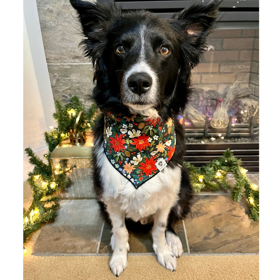 Holiday Poinsettia Tie-On Dog Bandana