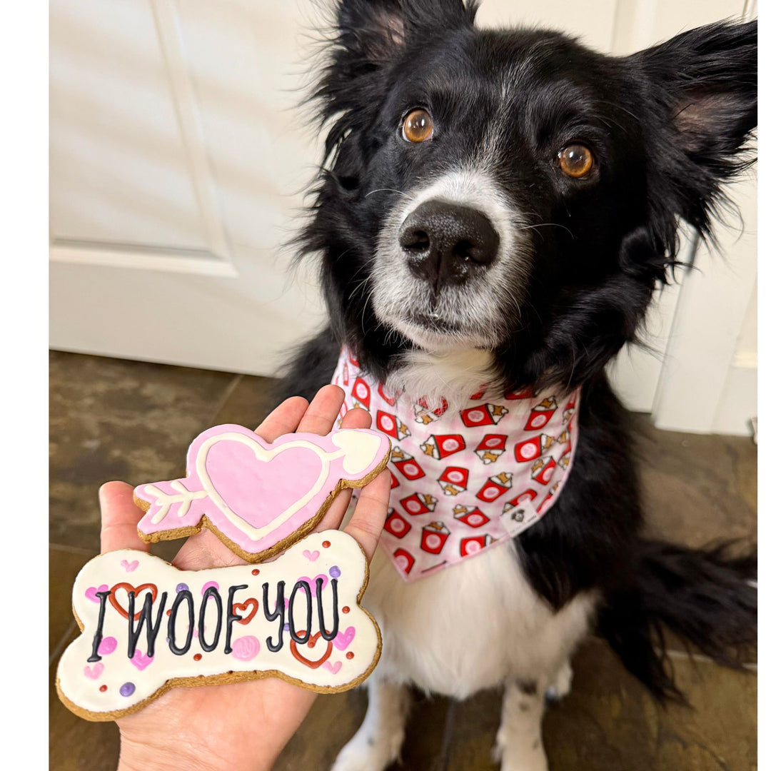 I Woof You Valentine Dog Treats - 2 Pack