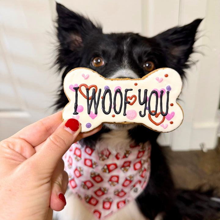I Woof You Valentine Dog Treats - 2 Pack