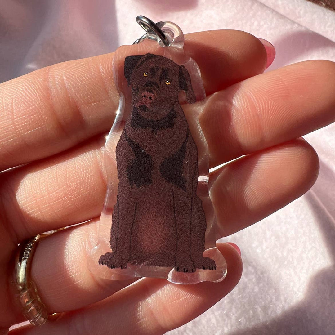 Labrador Retriever (Chocolate) Keychain