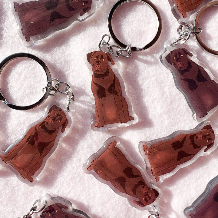 Labrador Retriever (Chocolate) Keychain