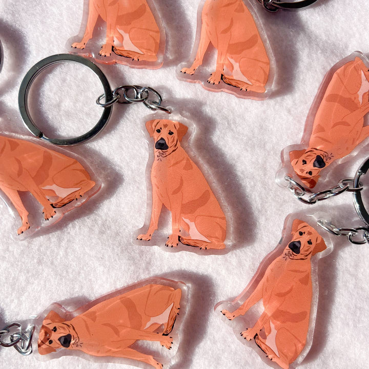 Mountain Cur, Rhodesian Ridgeback Keychain