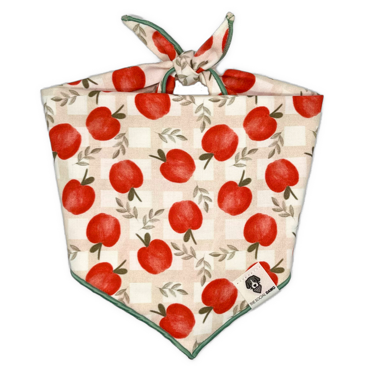 Apple Picking Basket Tie-On Dog Bandana