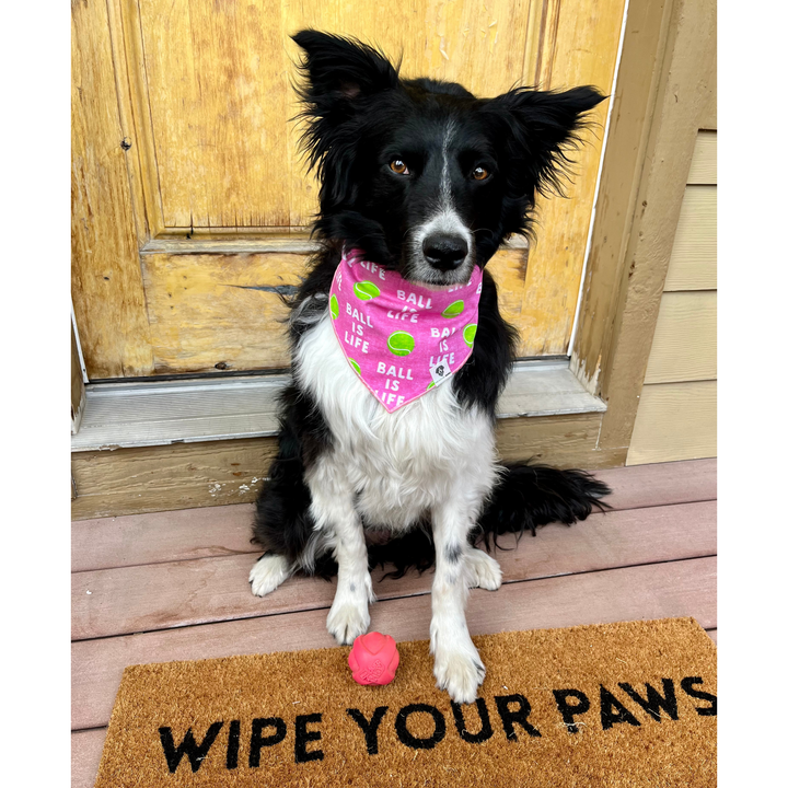 Ball Is Life Pink Tie-On Dog Bandana