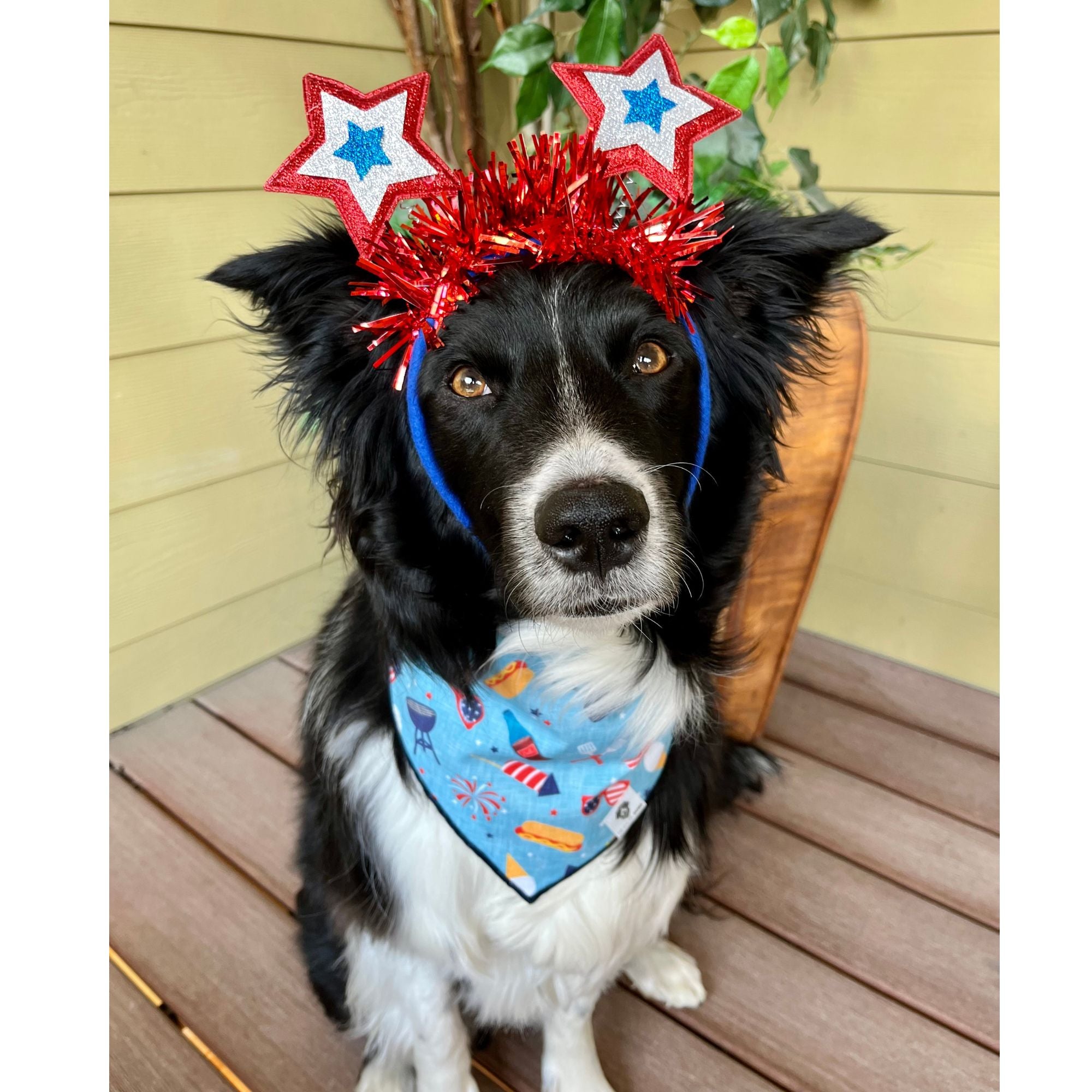 4th of july dog bandana hotsell