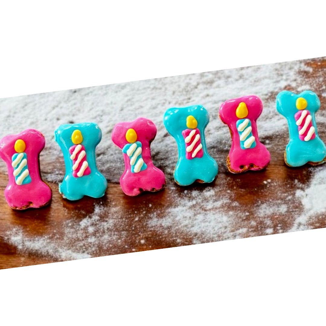 Birthday Bone Candle Treat Box - 7 count