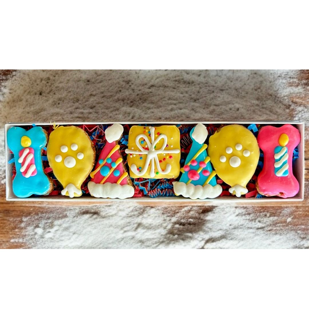 Celebration Dog Treat Box - 7 count