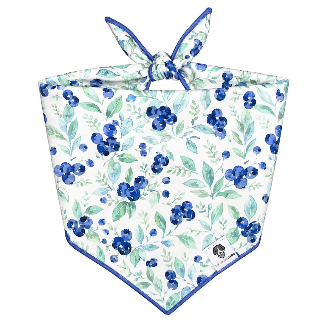 Bluberry Tie-On Dog Bandana