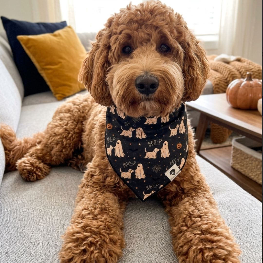 Boo-p Ghost Halloween Tie-On Dog Bandana