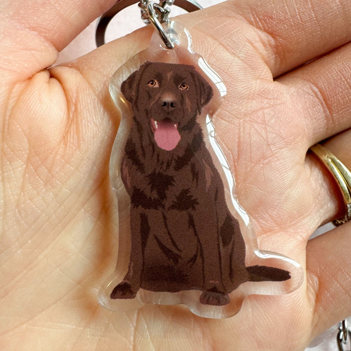 Labrador Retriever (Chocolate) Keychain