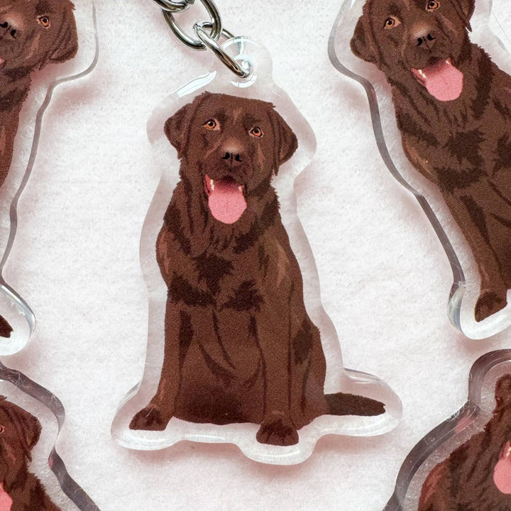 Labrador Retriever (Chocolate) Keychain