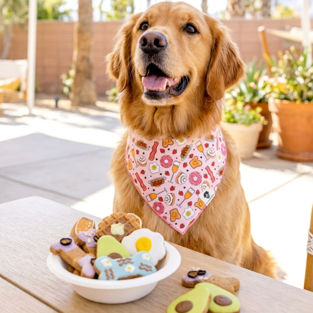 Brunch Tie-On Dog Bandana