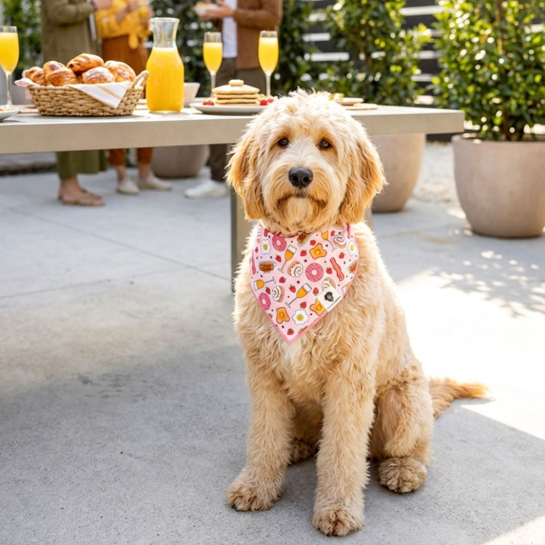Brunch Tie-On Dog Bandana