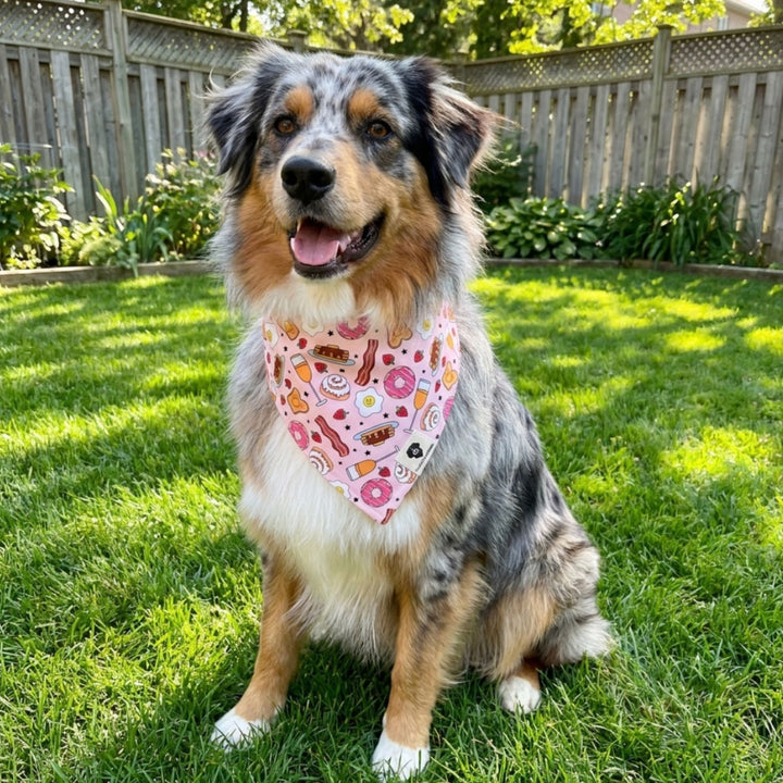 Brunch Slip-On Dog Bandana