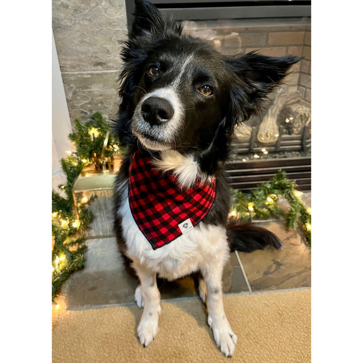 Holiday Poinsettia Tie-On Dog Bandana