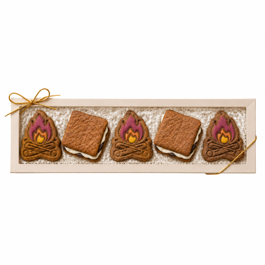 Campfire S’mores Dog Treat Box