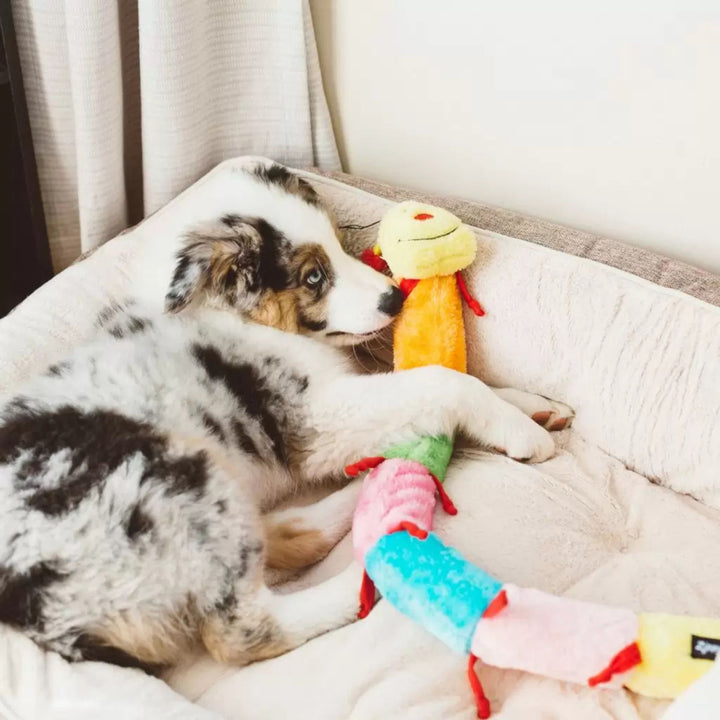 Caterpillar Dog Toy – Deluxe with 7 Squeakers