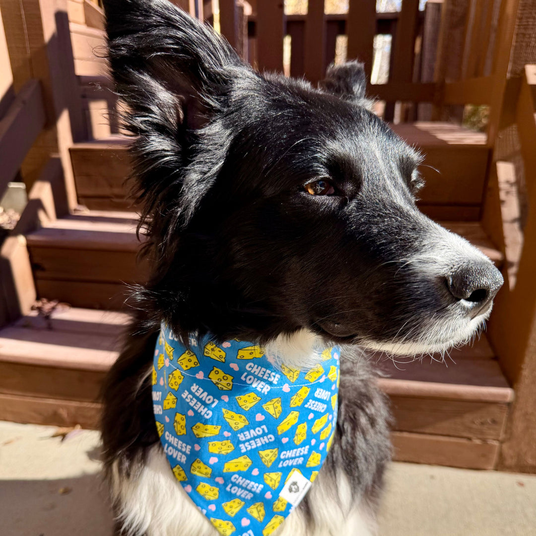 Cheese Lover Slip-On Dog Bandana