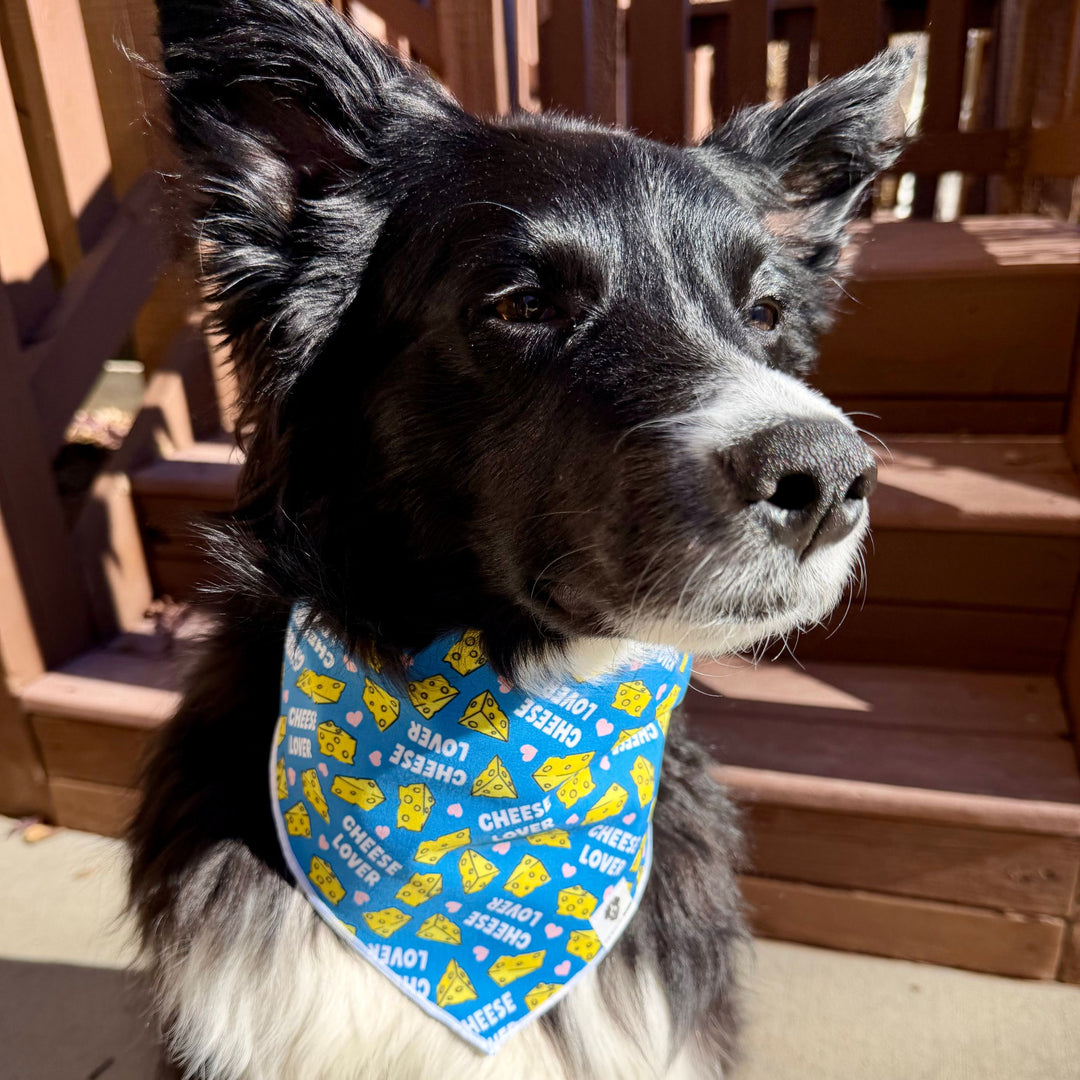 Cheese Lover Tie-On Dog Bandana