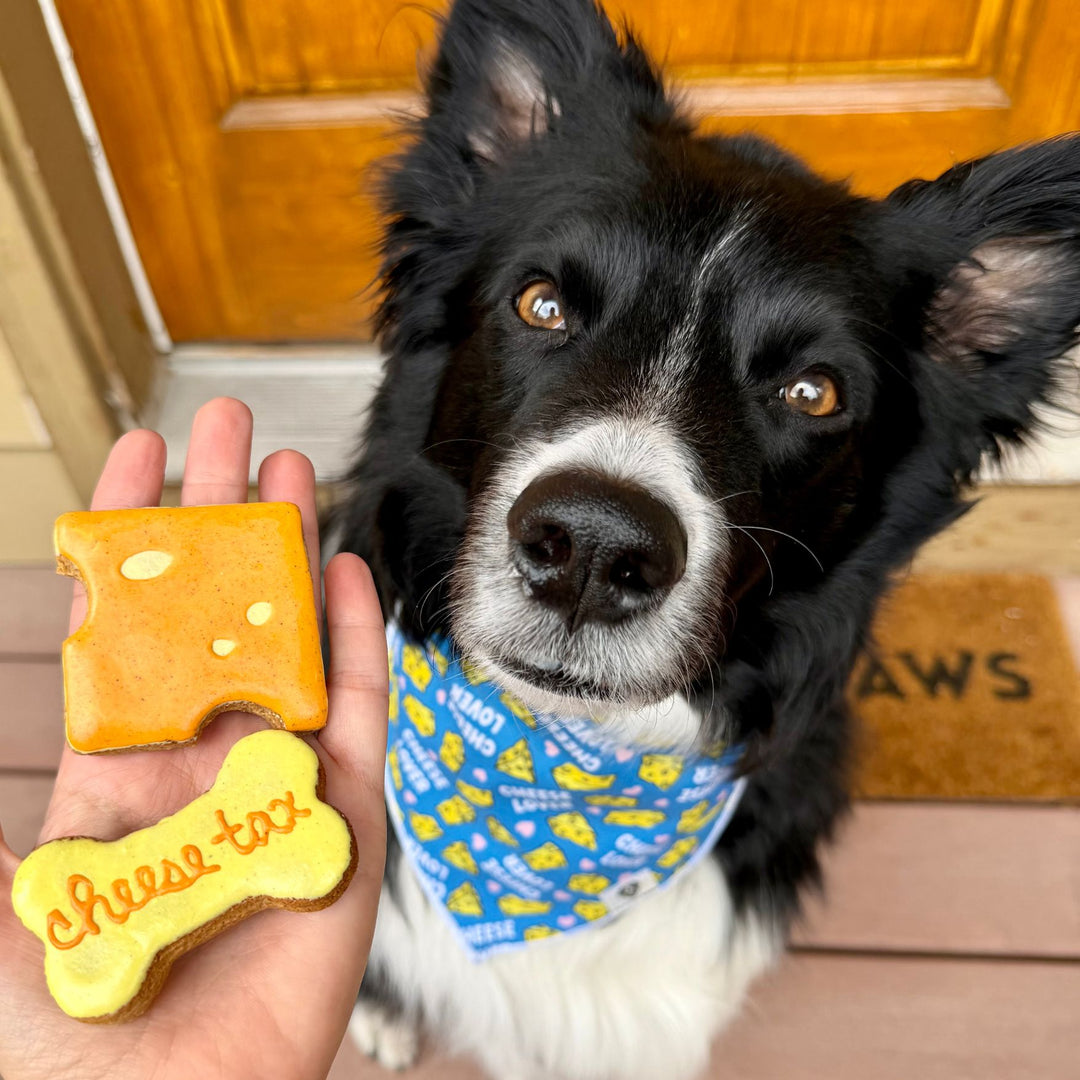 Cheese Tax Dog Treats - 2 Pack