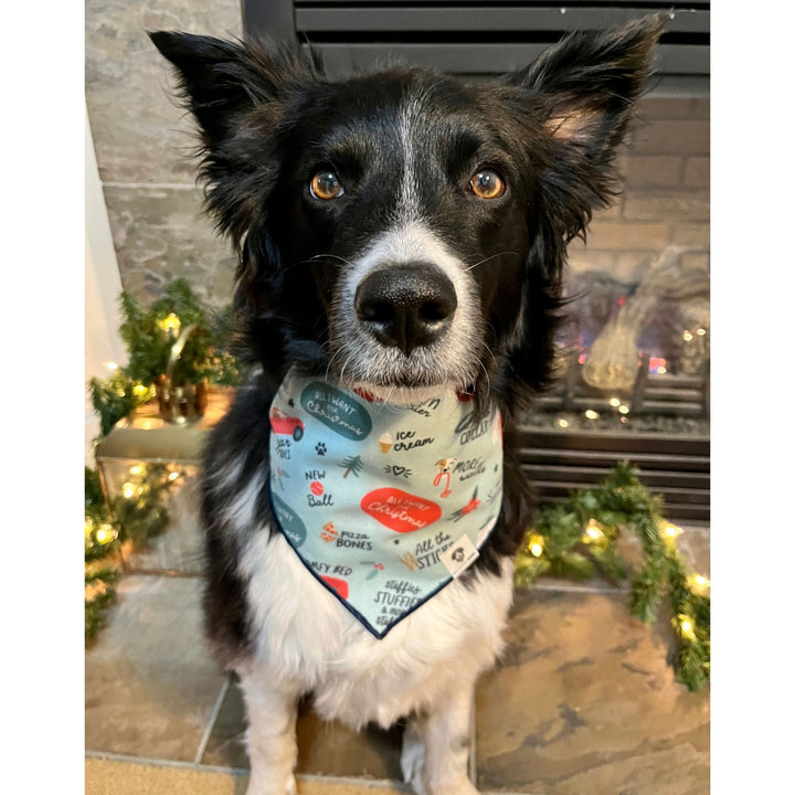 All I Want For Christmas Tie-On Dog Bandana