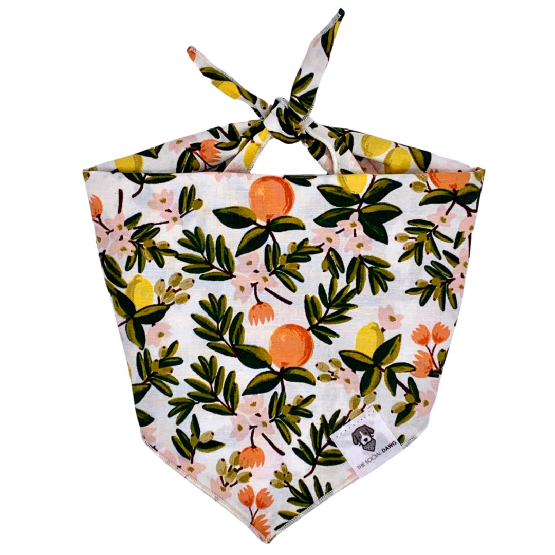 Citrus Floral Tie-On Dog Bandana