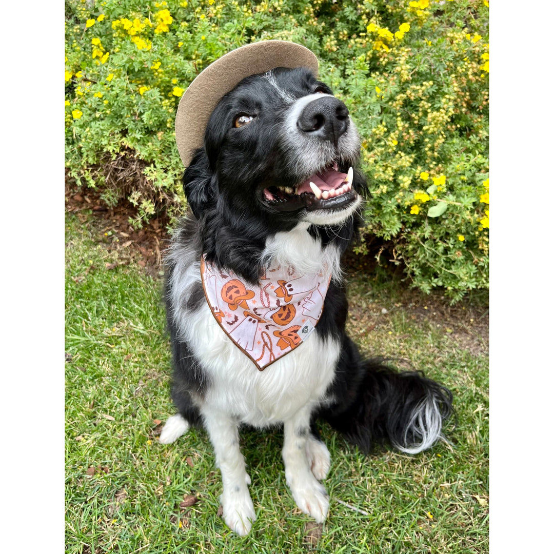 Cowboy Halloween Spooky Tie-On Dog Bandana