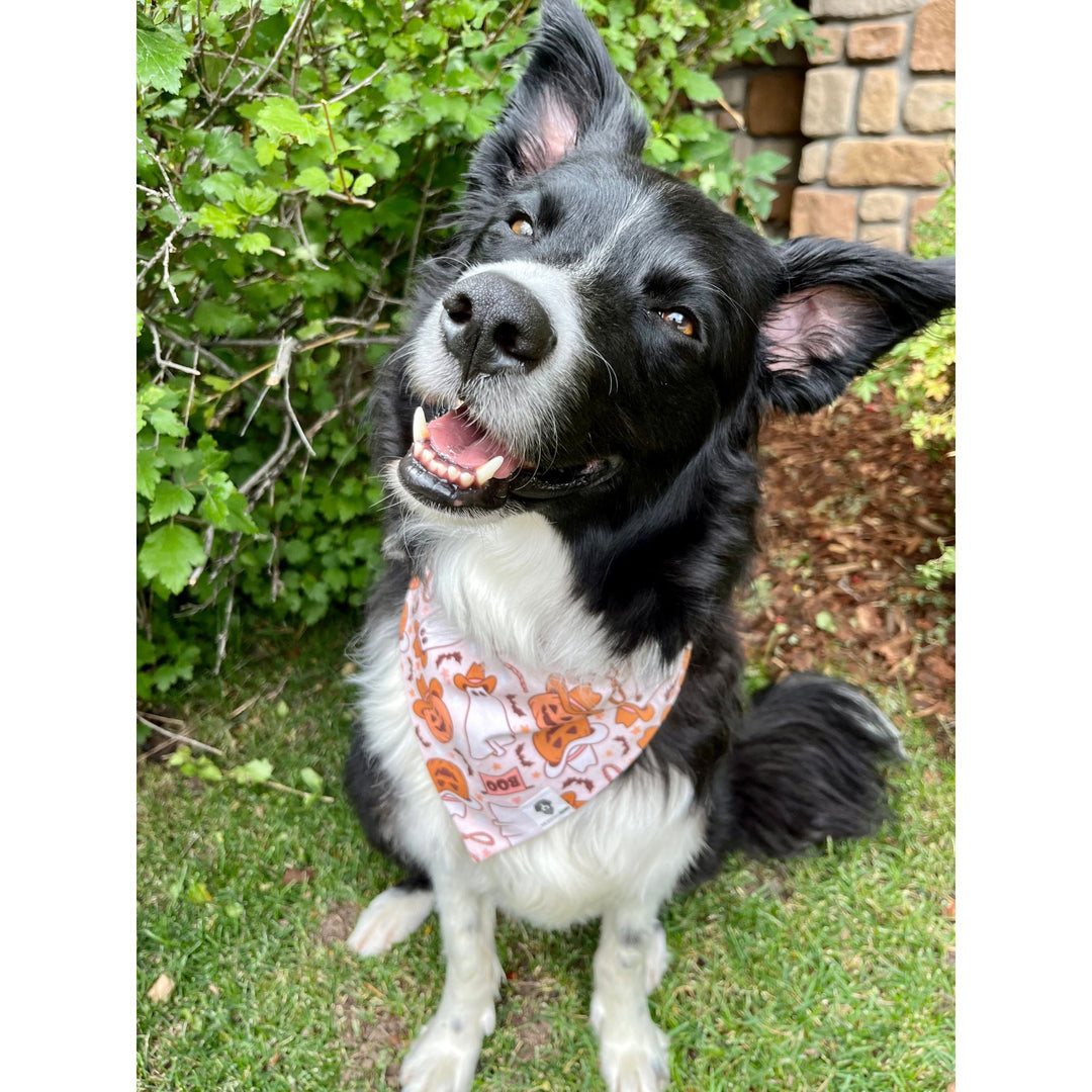 Cowboy Halloween Spooky Slip-On Dog Bandana